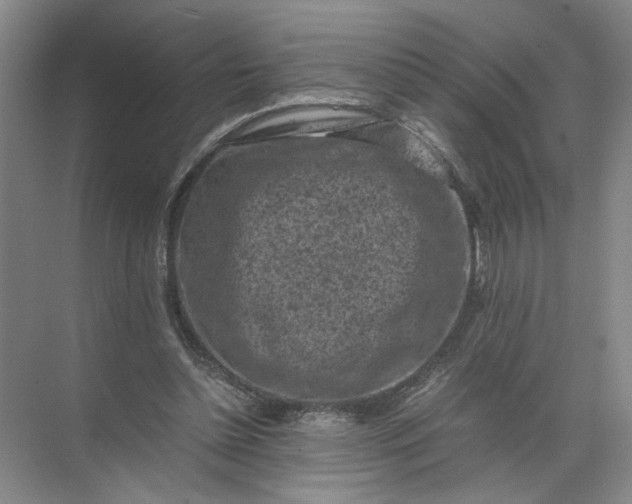 X0000072530348200607290230