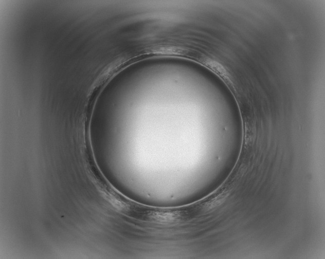 X0000072530349200607290230