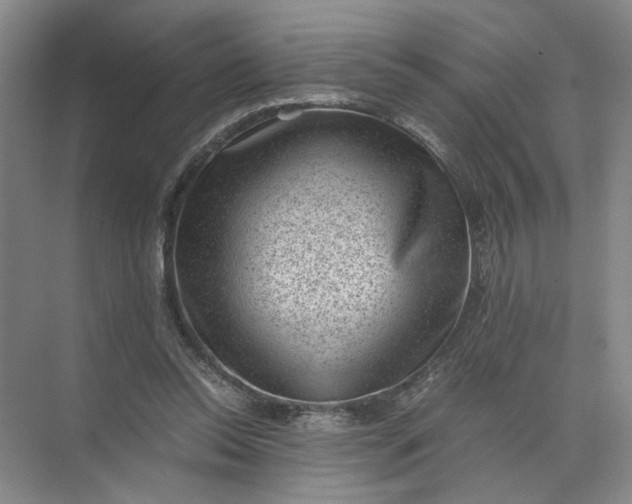 X0000072530350200607290230