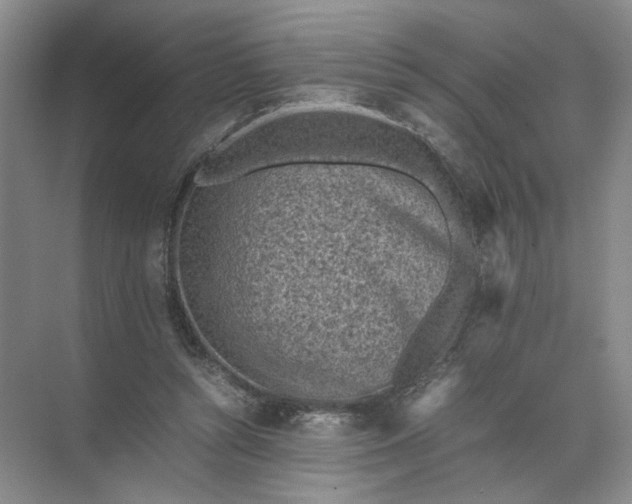 X0000072530352200607290230