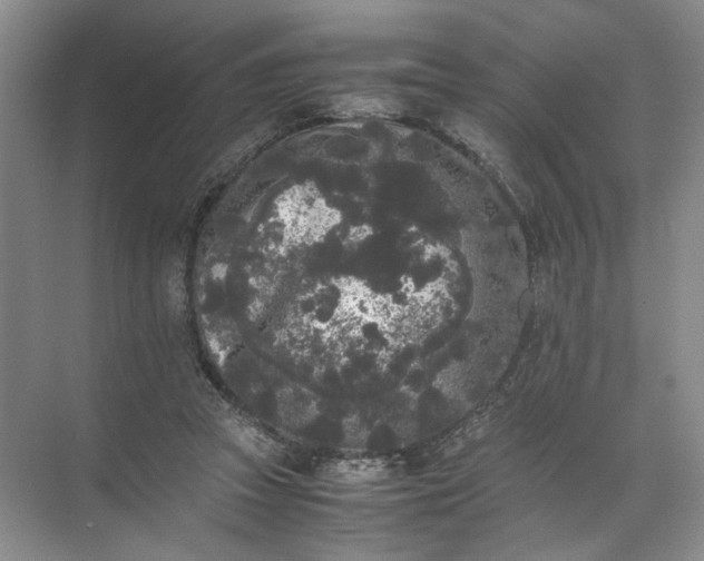 X0000072530353200607290230