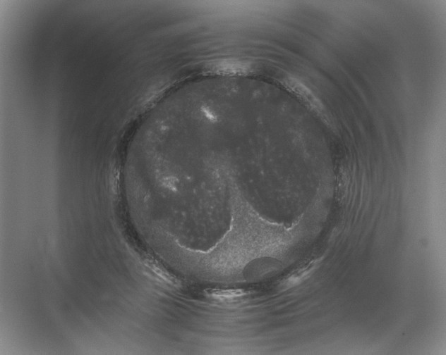 X0000072530355200607290230