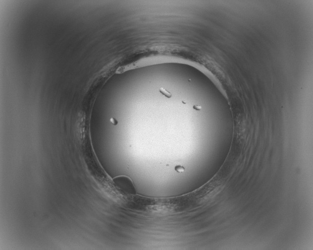 X0000072530356200607290230