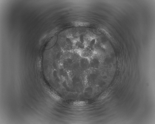 X0000072530357200607290230