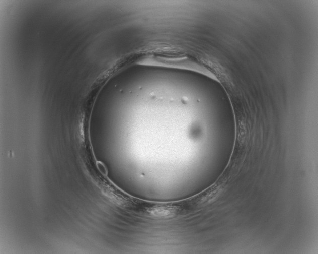 X0000072530358200607290230