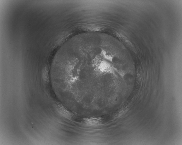 X0000072530359200607290230