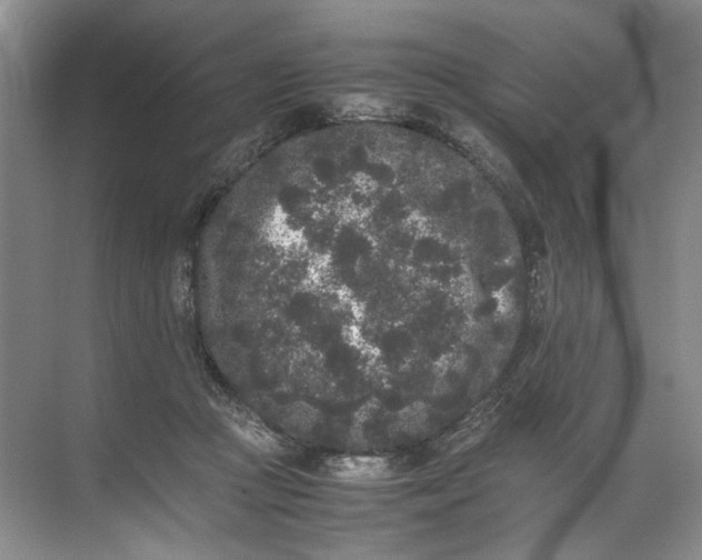 X0000072530361200607290230