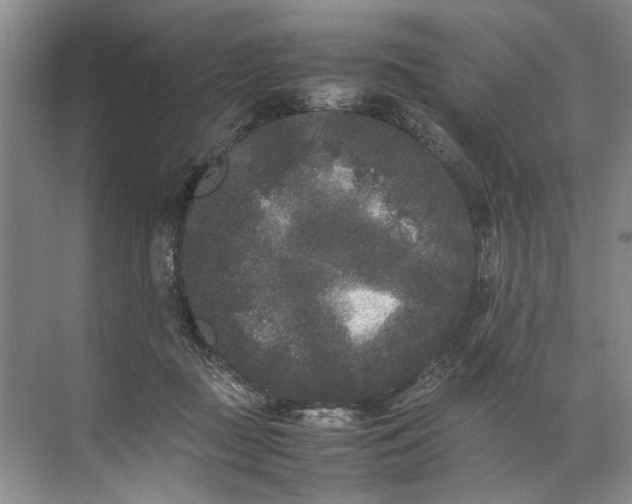 X0000072530363200607290230