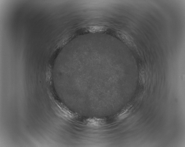 X0000072530367200607290230