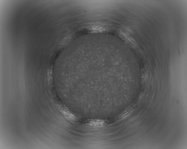 X0000072530369200607290230