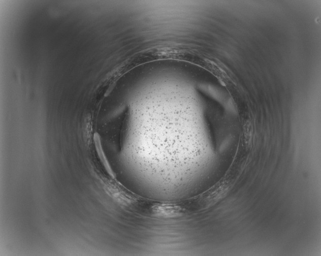 X0000072530372200607290230