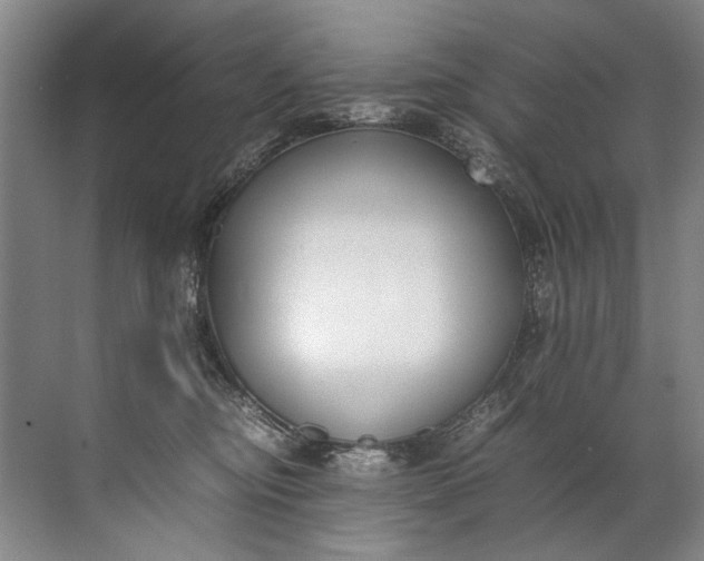 X0000072530374200607290230