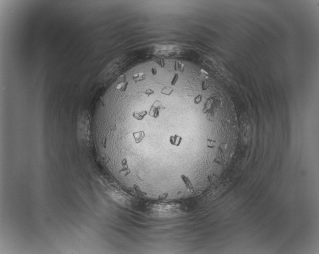 X0000072530375200607290230