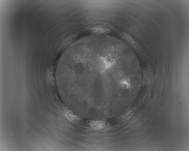 X0000072530377200607290230