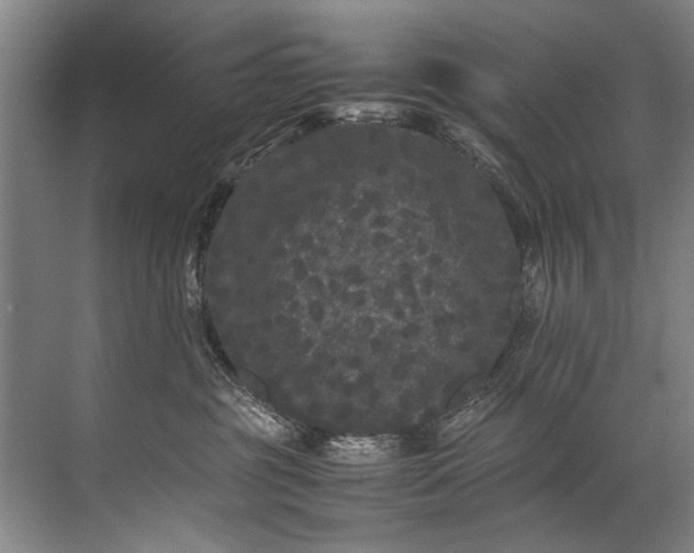 X0000072530381200607290230