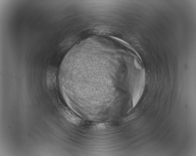 X0000072530382200607290231