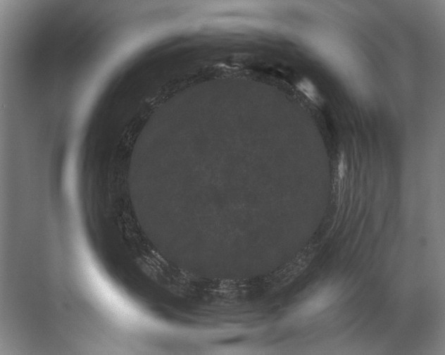 X0000072530383200607290231