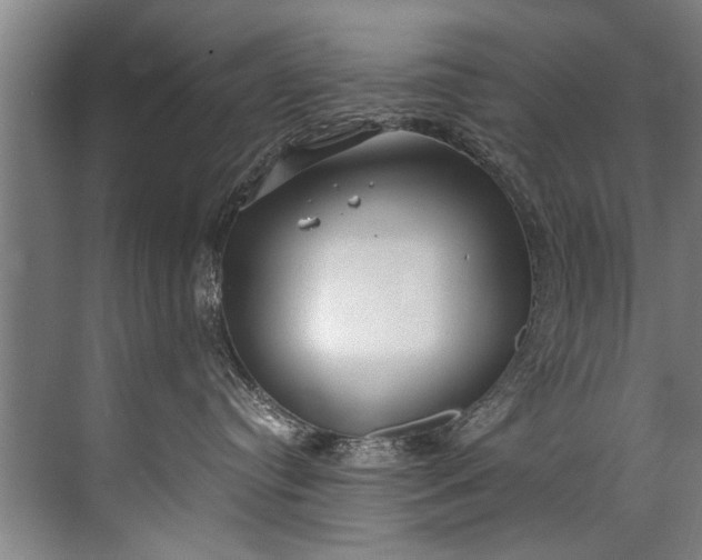 X0000072530384200607290231