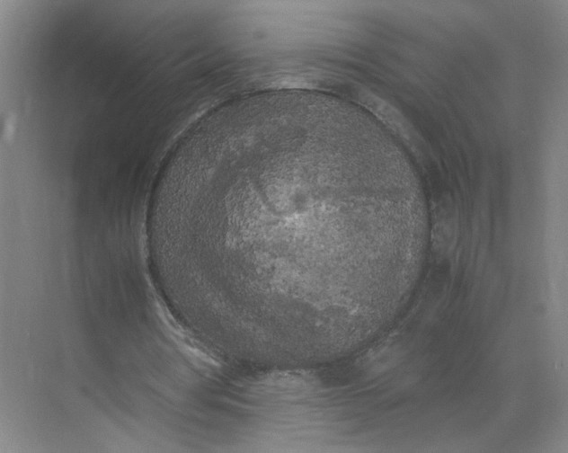 X0000072530386200607290230