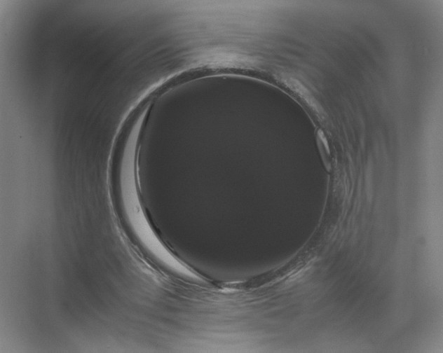 X0000072530391200607290230