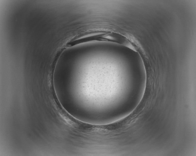 X0000072530393200607290230