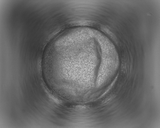 X0000072530394200607290230