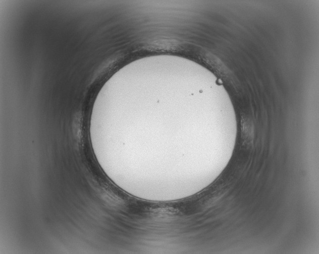 X0000072530396200607290230