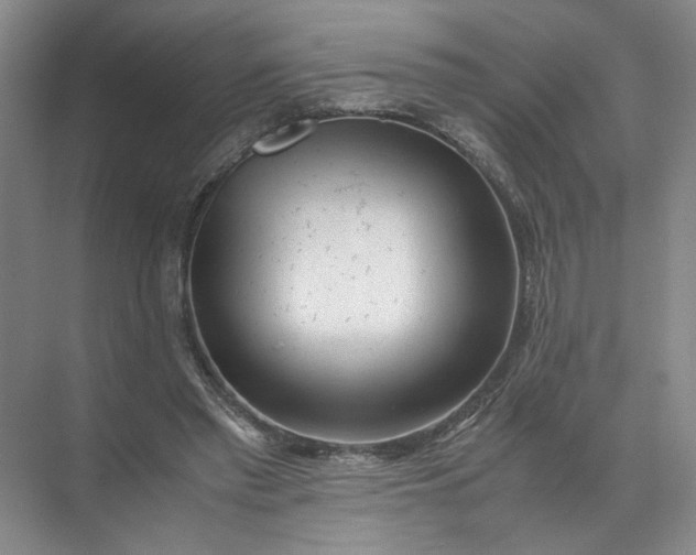 X0000072530397200607290230