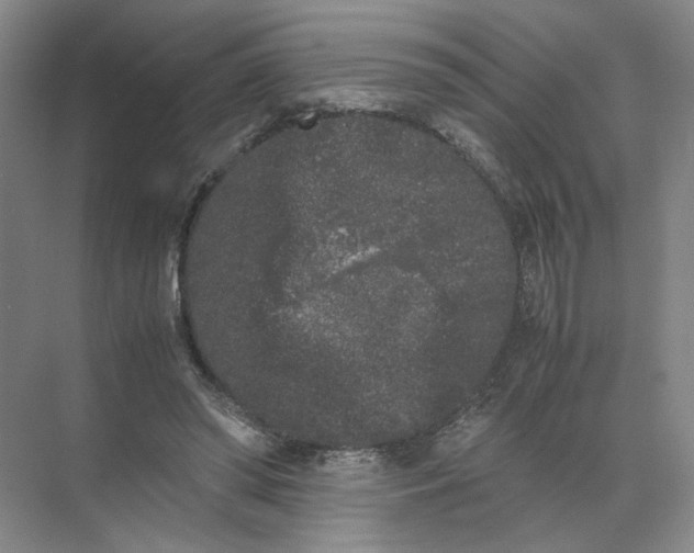 X0000072530398200607290230