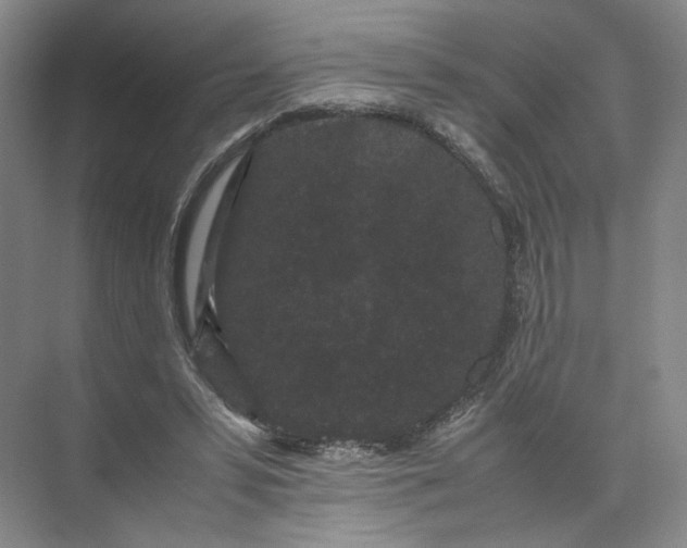 X0000072530399200607290229