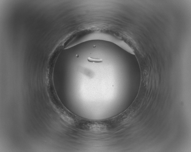 X0000072530400200607290229