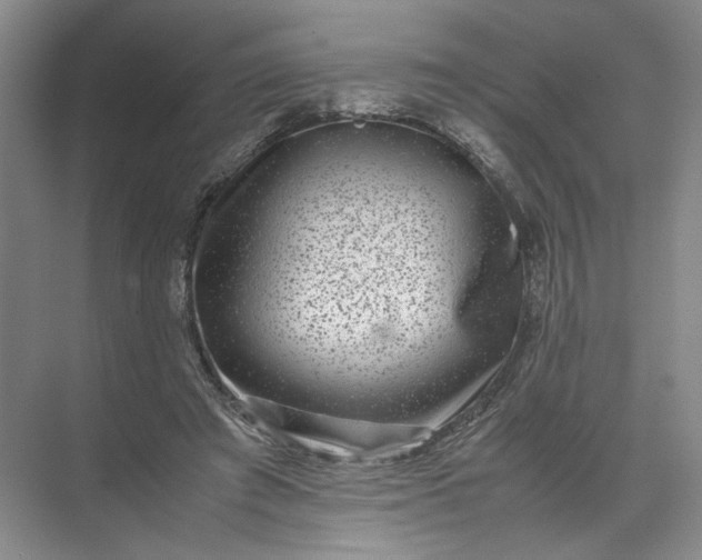 X0000072530401200607290229