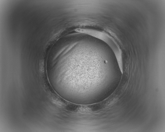 X0000072530403200607290229