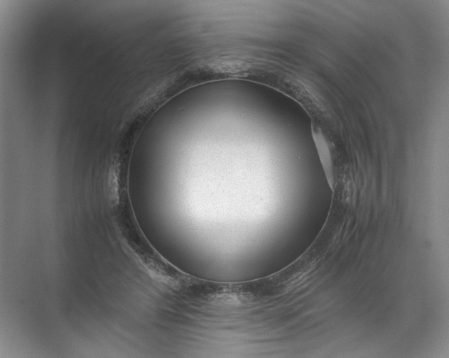 X0000072530404200607290229