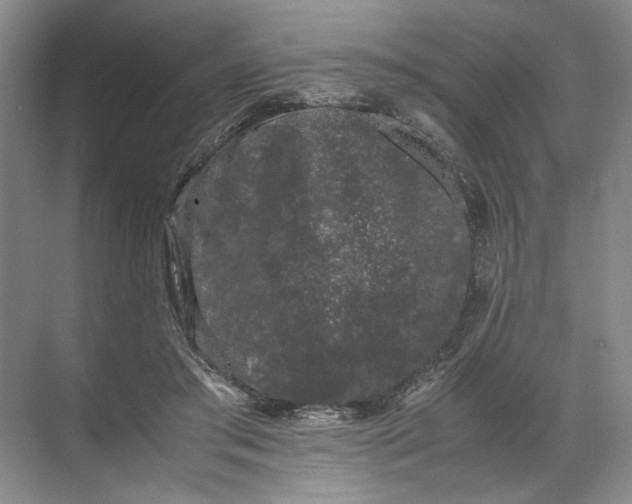 X0000072530405200607290229