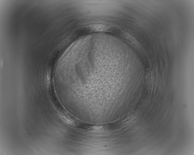 X0000072530406200607290229