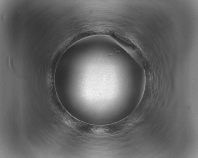 X0000072530407200607290229