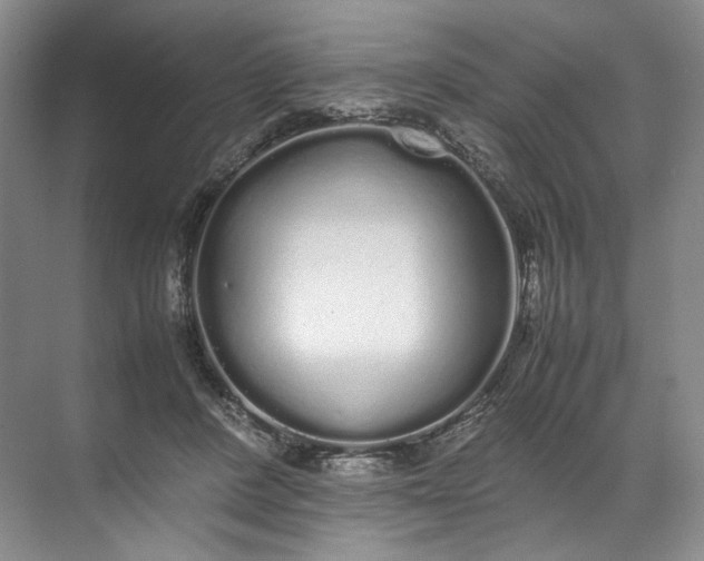 X0000072530408200607290229