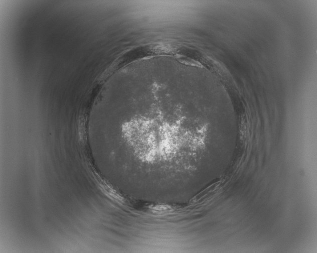 X0000072530409200607290229