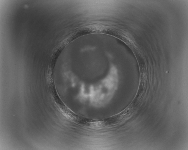 X0000072530411200607290229