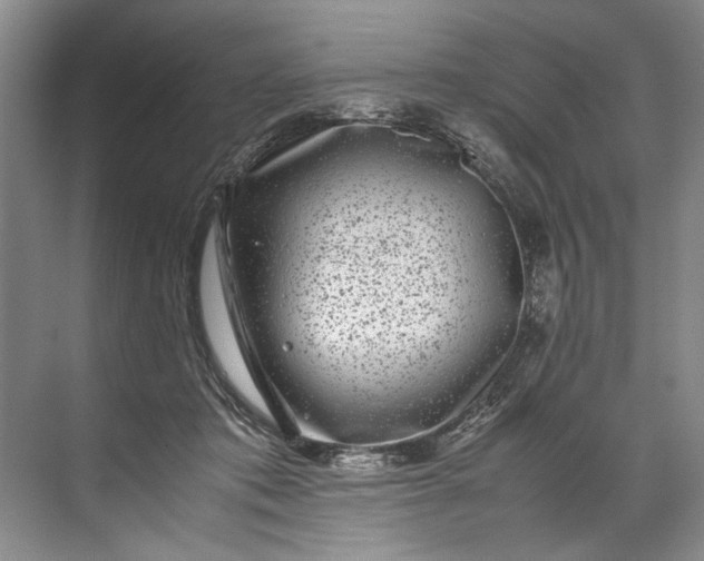 X0000072530413200607290229