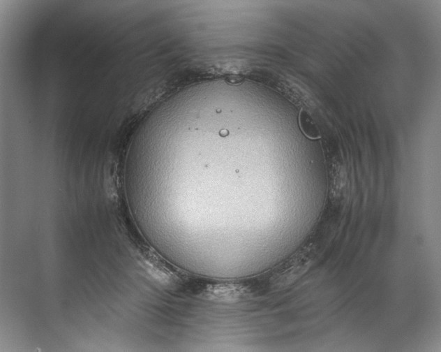 X0000072530414200607290229