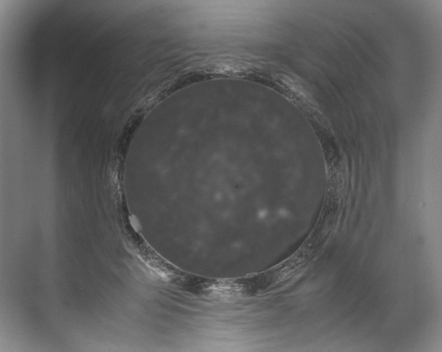 X0000072530415200607290229