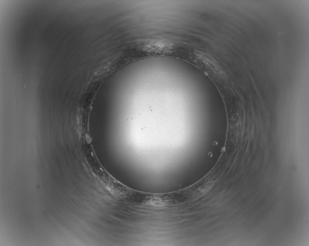 X0000072530416200607290229