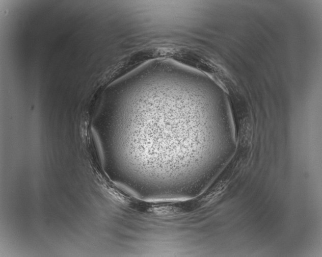 X0000072530417200607290229