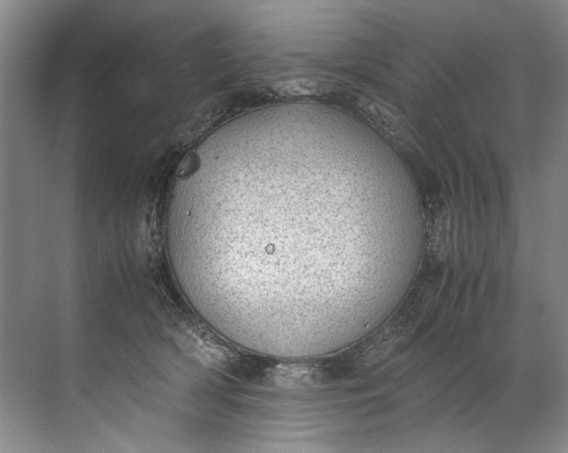 X0000072530418200607290229