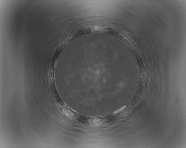 X0000072530419200607290229