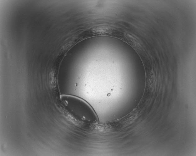 X0000072530420200607290229