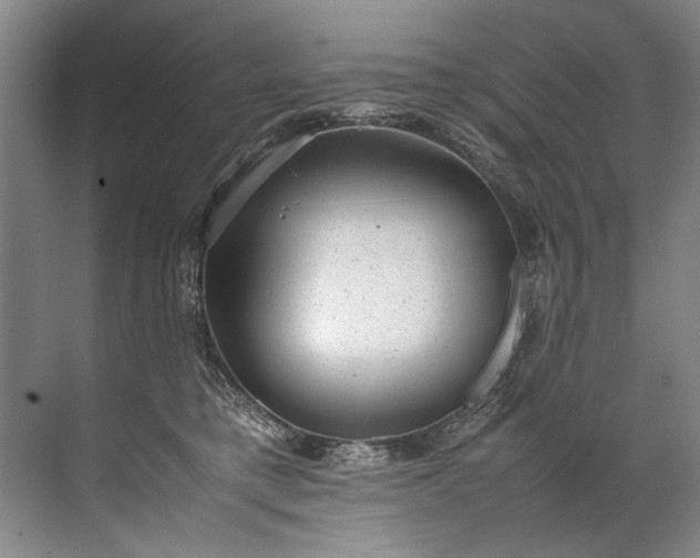 X0000072530421200607290229