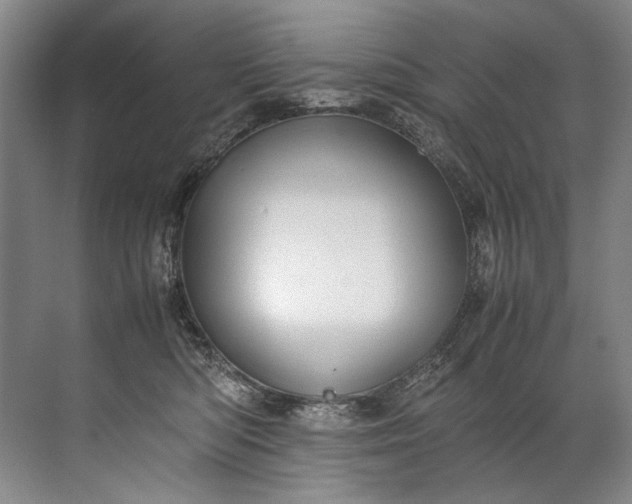 X0000072530422200607290229